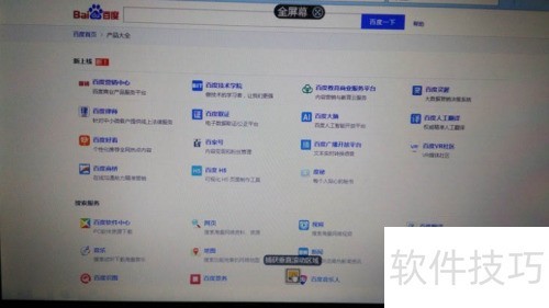 Snagit��ô��������