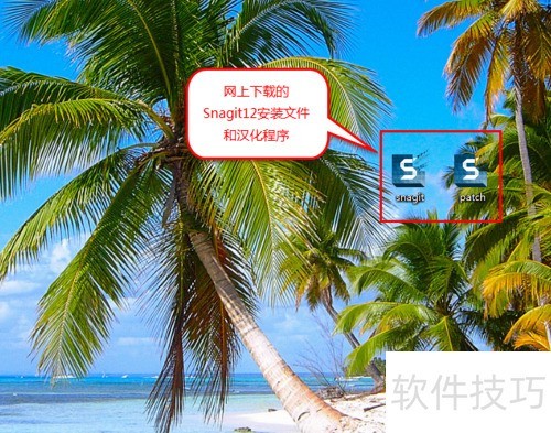 截图软件Snagit的使用 截图软件Snagit的使用