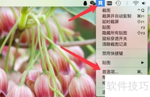 ��ͼ����snipaste�����ʹ�ã�