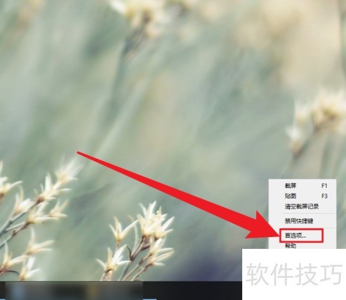 Snipaste��ô�޸Ľ�ͼ��ݼ�