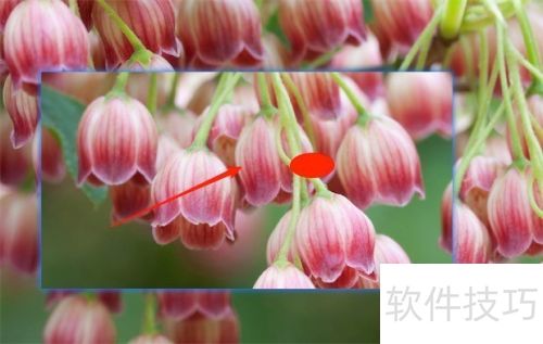 ��ͼ����snipaste�����ʹ�ã�