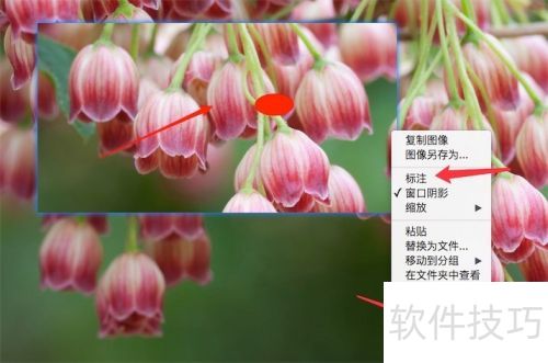 ��ͼ����snipaste�����ʹ�ã�