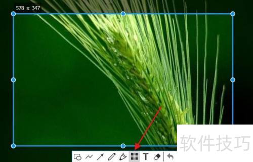 snipaste��ͼ�������ģ��Ч��