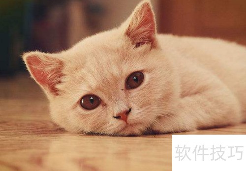 Win7���ʹ��GCC������