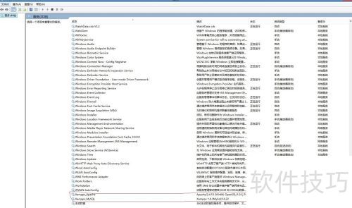 Wampserverͼ�� ��ɫ ��ɫ �������