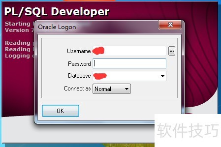 pl/sql developer������