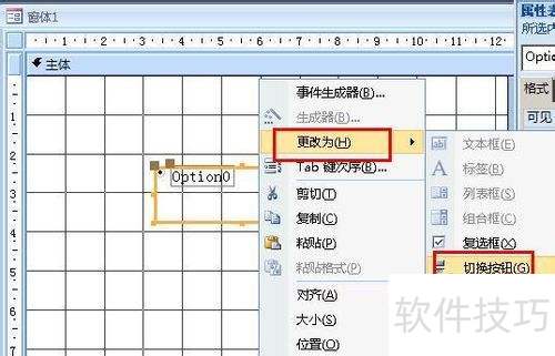 ������ѡ�ťת�����л���ťaccess2007