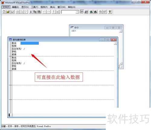 ��vfp�У���ô������ֵ�ͳ�����