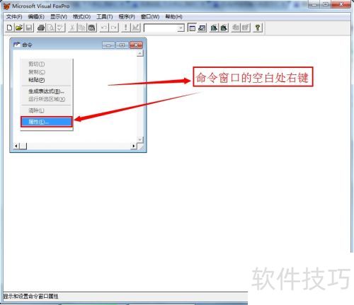 ��ε���vfp�е������������壿