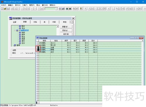 VFPɾ����¼,ʵ�����
