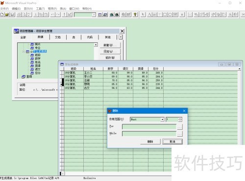 VFPɾ����¼,ʵ�����