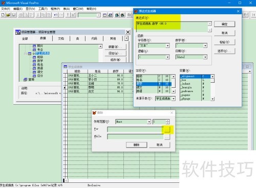 VFPɾ����¼,ʵ�����
