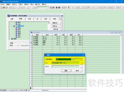 VFPɾ����¼,ʵ�����