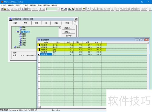 VFPɾ����¼,ʵ�����