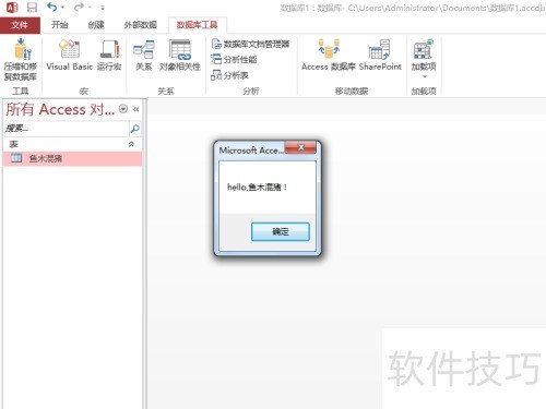 Access�����ʹ��VBA��