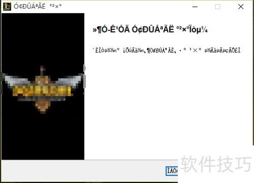 ��װ��NSIS EROOR�������