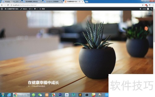wordpress��װ��ϸ����
