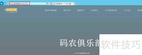 ȥ��wordpress��վ������wordpress����