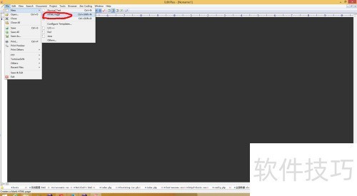 editplus �������