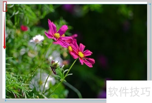 fireworks 8 改变图片大小 fireworks 8 改变图片大小