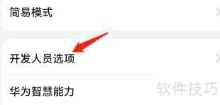 ��ô��GPU��Ⱦ�����ΪOpenGL��Skia����