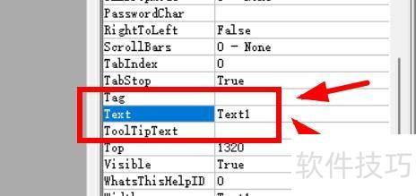 VisualBasic���ʹ��Text�ı���