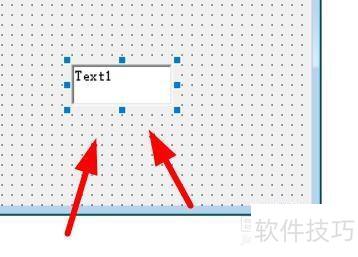 VisualBasic���ʹ��Text�ı���