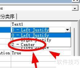 VisualBasic��ν�Text�ı�������ʾ
