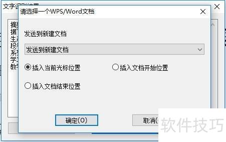 cajviewerת����word�Ĳ���