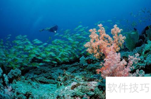 ������Ӱx10��ôʹ�ù��͸���ȹ���