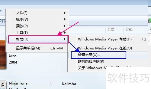 ����Ӱ�����Ų�����ô��/cbox���ܲ��Ž������?