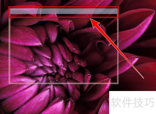 ���ʹ��MvBox����¼����