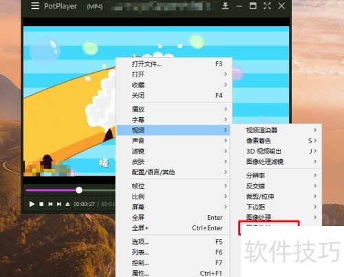 PotPlayer��������ת��Ļ