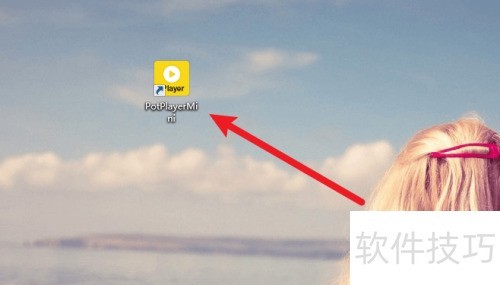 PotPlayer��ô����������