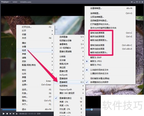 potplayer��ͼ����