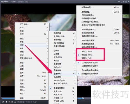 potplayer��ͼ����
