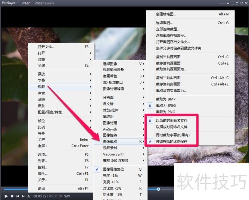 potplayer��ͼ����