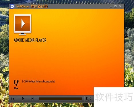 potplayer ����������Ƥ��