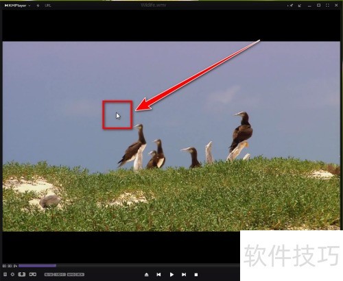 KMPlayer如何开启重低音 KMPlayer如何开启重低音