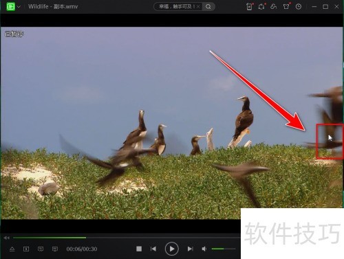 爱奇艺万能联播如何记录视频笔记 爱奇艺万能联播如何记录视频笔记