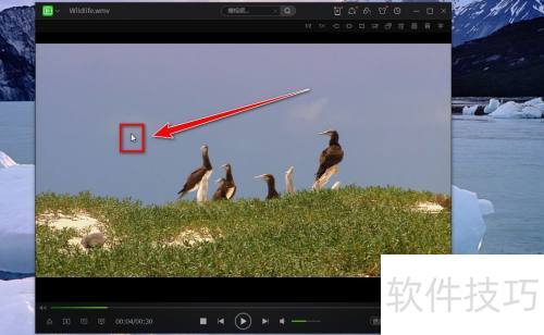 ����������������ôȥ����Ƶ�ڱ�