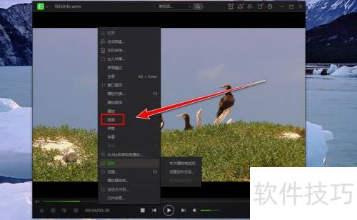 ����������������ôȥ����Ƶ�ڱ�