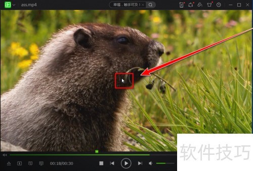 爱奇艺万能联播怎么弄悬浮窗 爱奇艺万能联播怎么弄悬浮窗