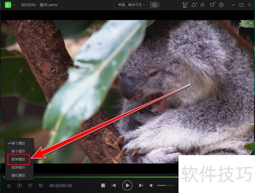 ����������������ΰ�˳�򲥷���Ƶ