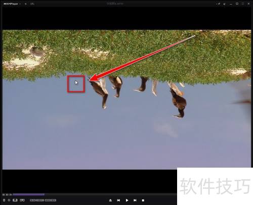 KMPlayer��ε�ת����