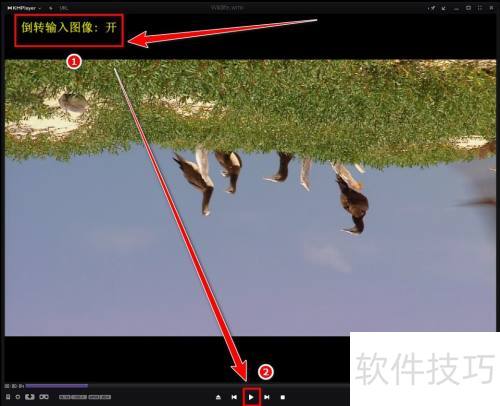 KMPlayer��ε�ת����