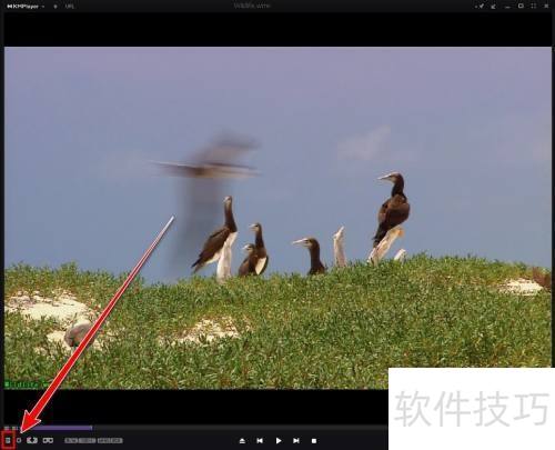 KMPlayer怎样清除播放列表 KMPlayer怎样清除播放列表