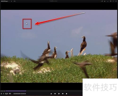 KMPlayer�����ӿ첥���ٶ�