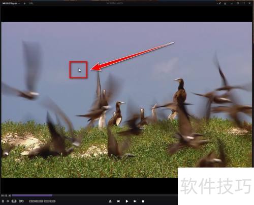 KMPlayer���ѡ������