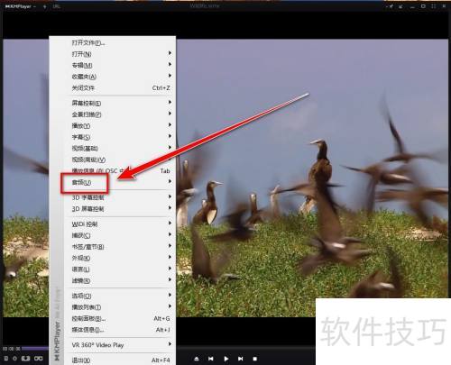 KMPlayer���ѡ������